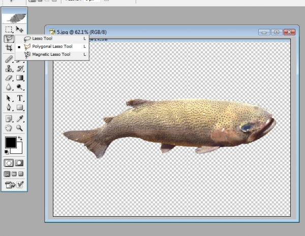 Creation of Colorful fish?: Step 7